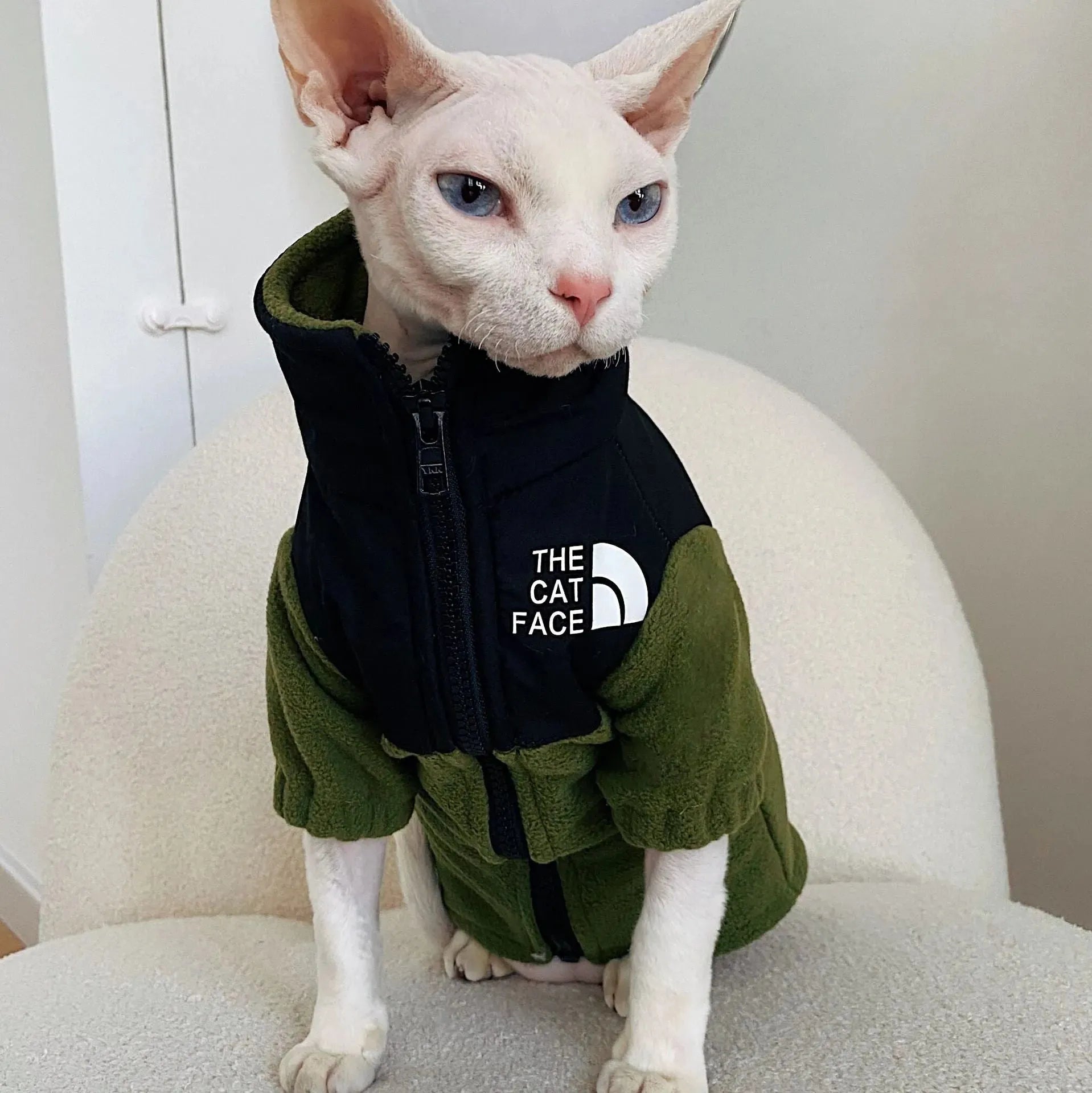 Hairless Cat Clothes Warm Pet Cat Clothes - Bellarte Enchanté Hairless Cat Clothes Warm Pet Cat Clothes